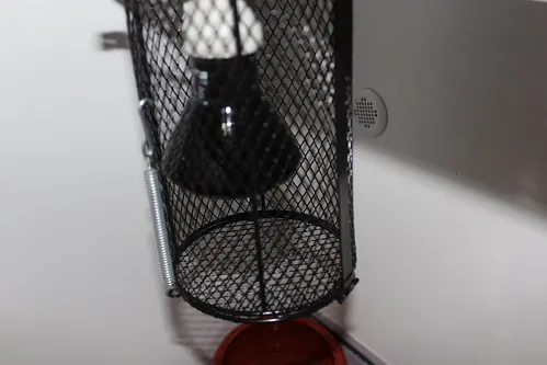 Black powder-coated cage fitting securely over the ceramic globe