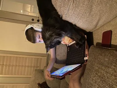 Black smoke Maine Coon Dax helping on computer with child