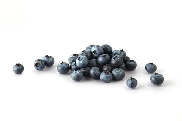 Blueberries for vitamin-rich cat food