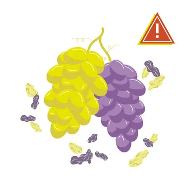 Bowl of fresh green and purple grapes