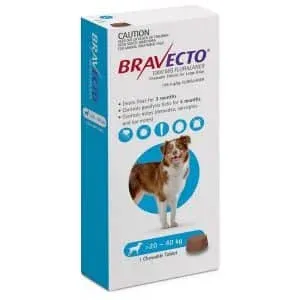 Bravecto chew for large dogs blue pack