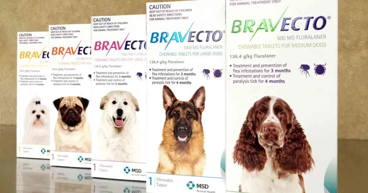 Bravecto flea tablet for dogs
