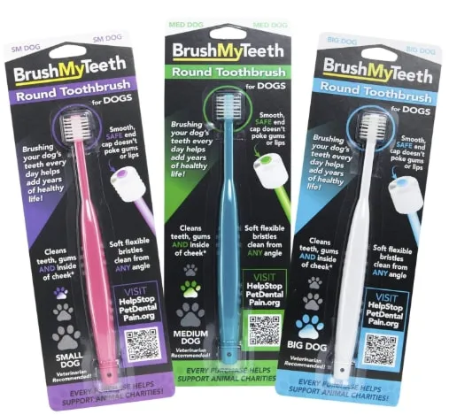 Brush My Teeth Medium Dog Toothbrush