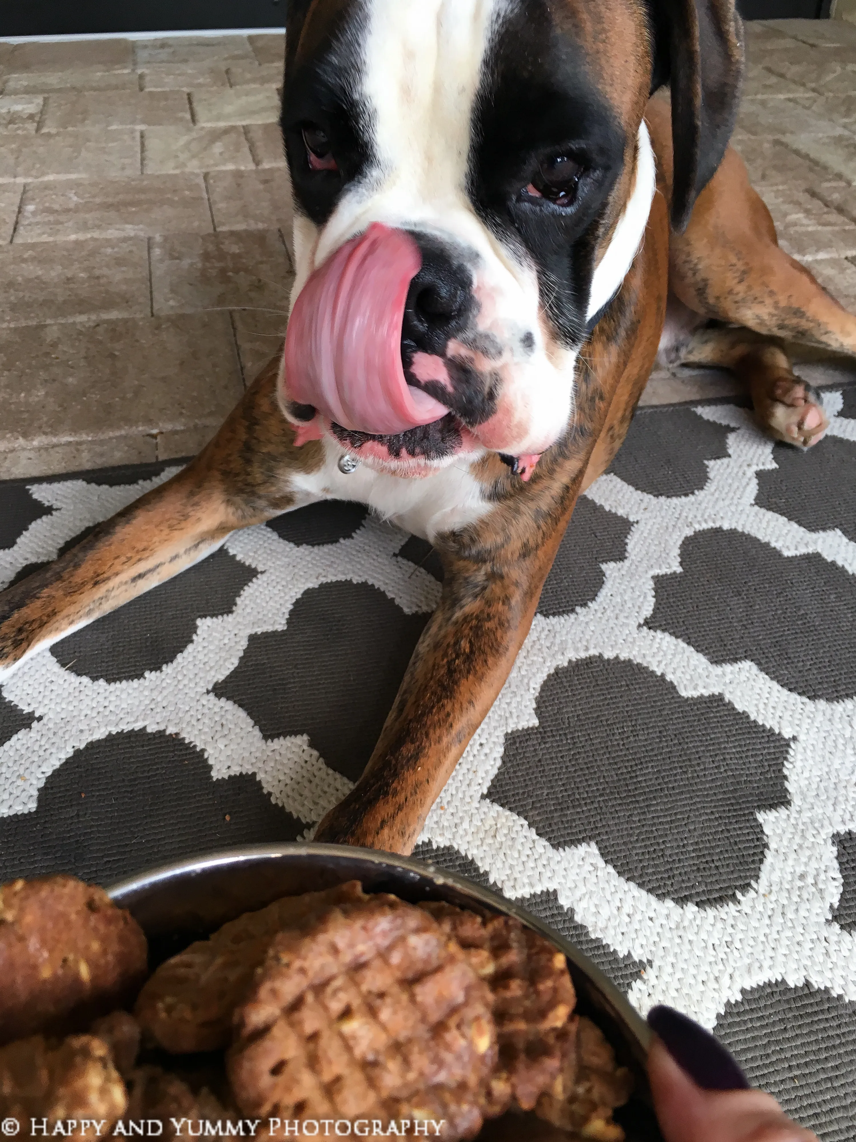 Buford the dog making a funny face during a photoshoot for the cookie recipe