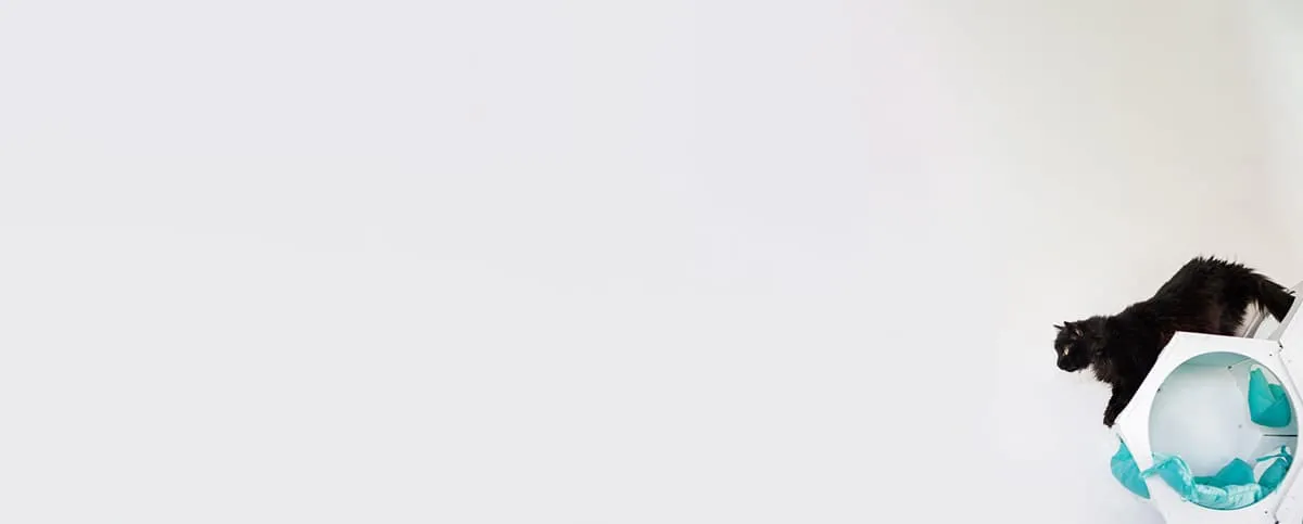 Call to action image for booking appointments