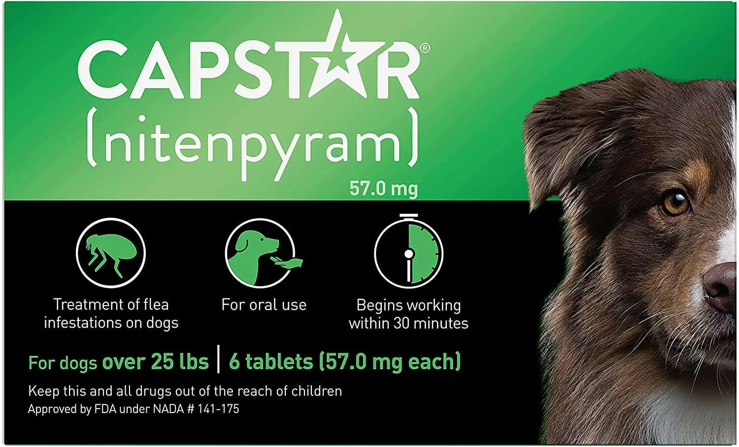 Capstar oral flea treatment for dogs over 25 lbs, designed for rapid action.