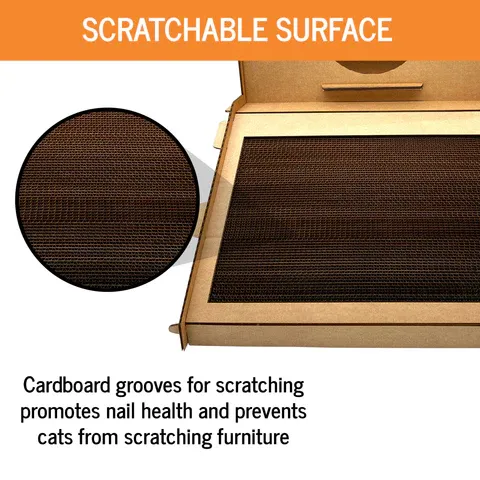 Cat scratching surface on cardboard home