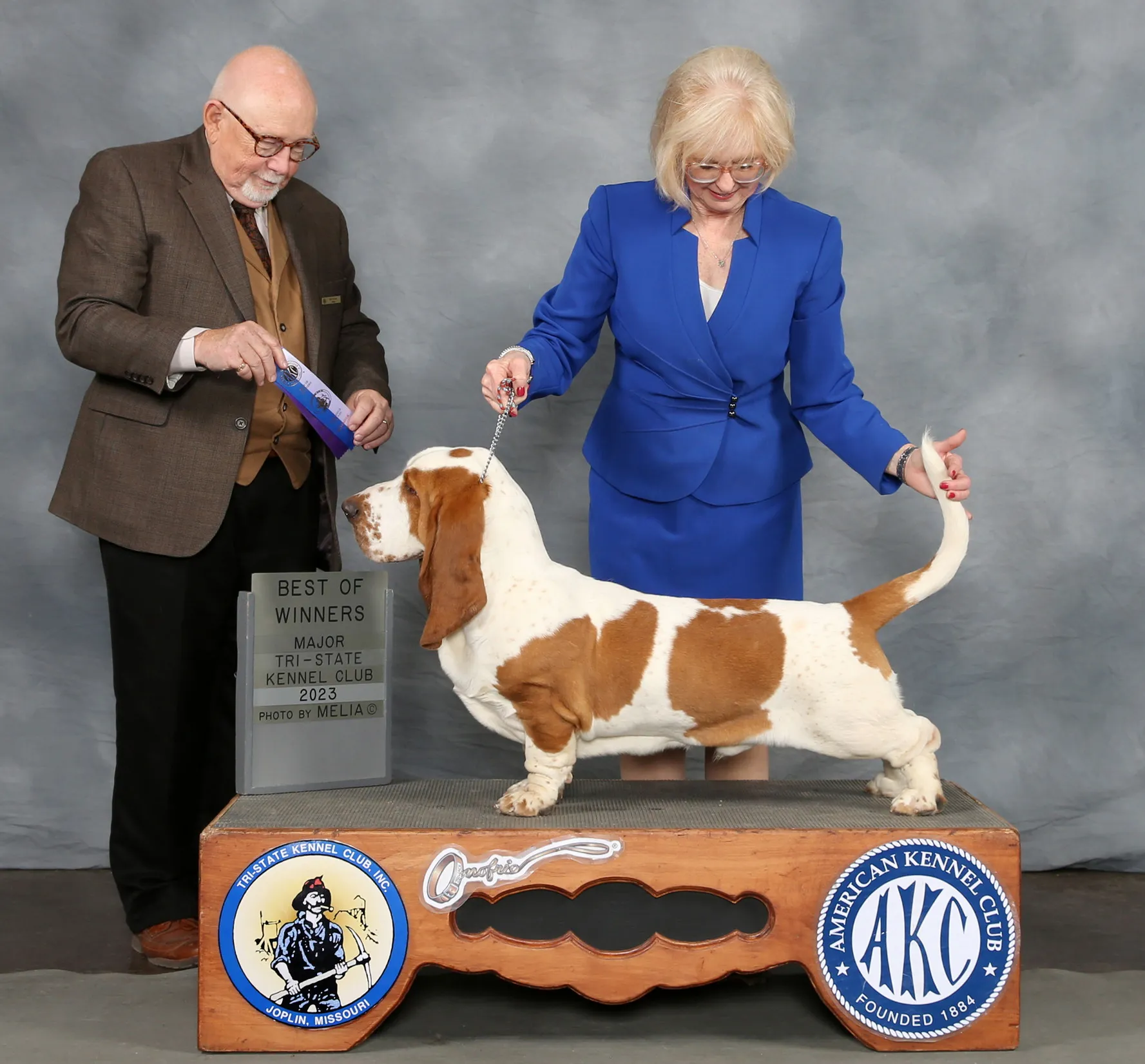 CH Stonewall Willie Wiggle Bottom as a young puppy