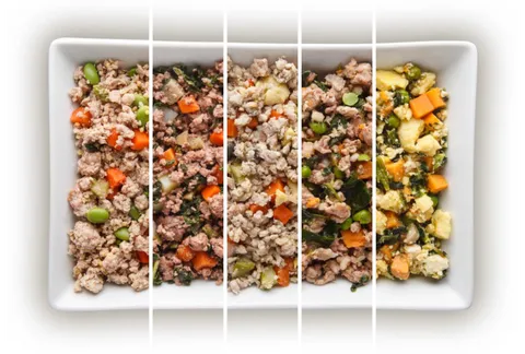 Chi Dog food packaging and a bowl of prepared food, showcasing the convenience and quality of the specialized diet.