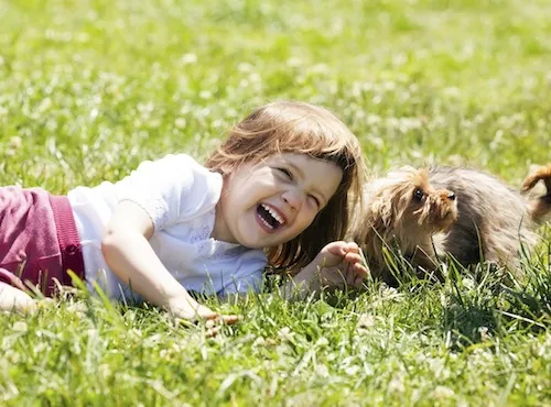 Child playing in grass with a dog