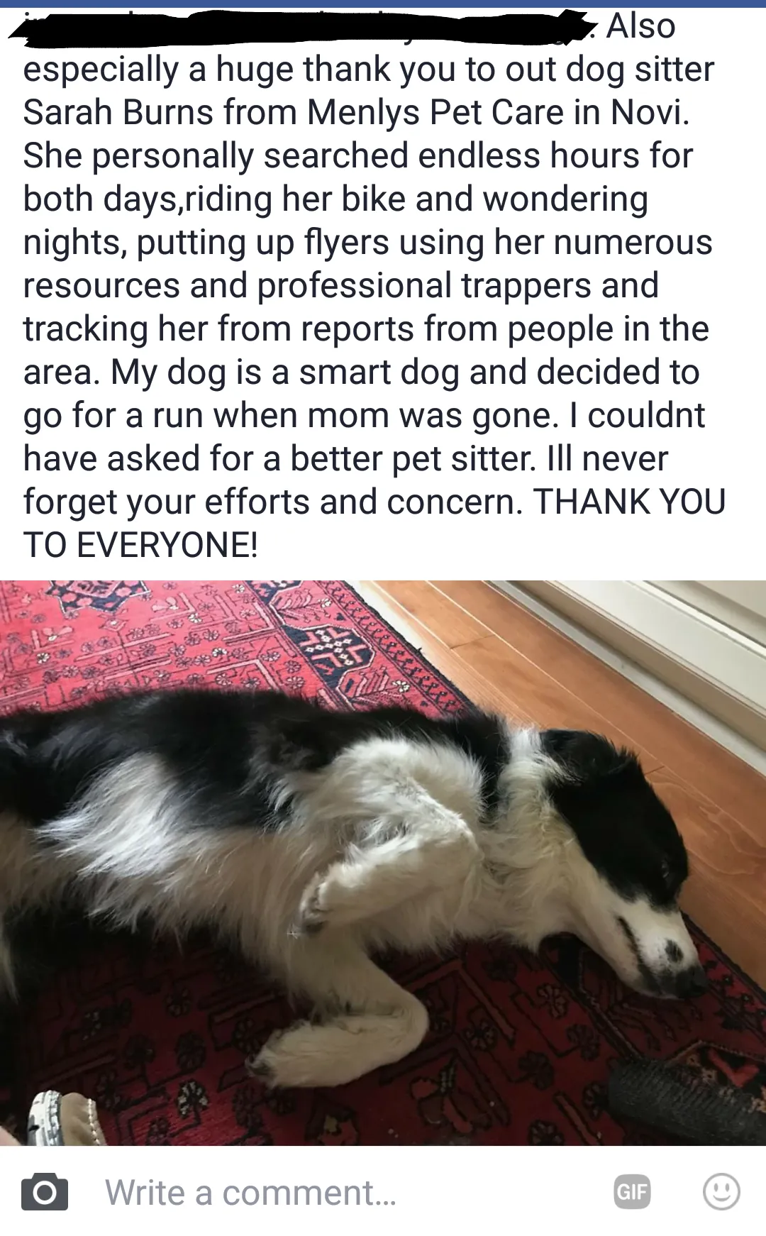 Client's grateful Facebook post after Vega's safe return