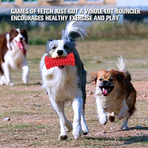 Close-up of a red cuboid Vanfine squeaky dog toy, highlighting its durable texture
