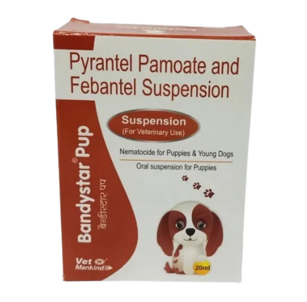 Close-up of Bandystar Pup Deworming Suspension for Puppies (20ml)