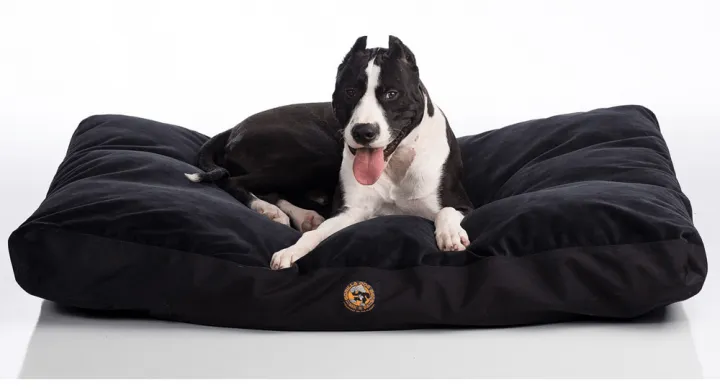 Close-up of CertiPUR-US certified foam in a chew-proof orthopedic dog bed, highlighting joint support and comfort