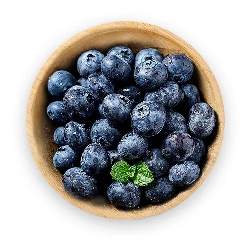 Close-up of fresh, dark Aronia berries