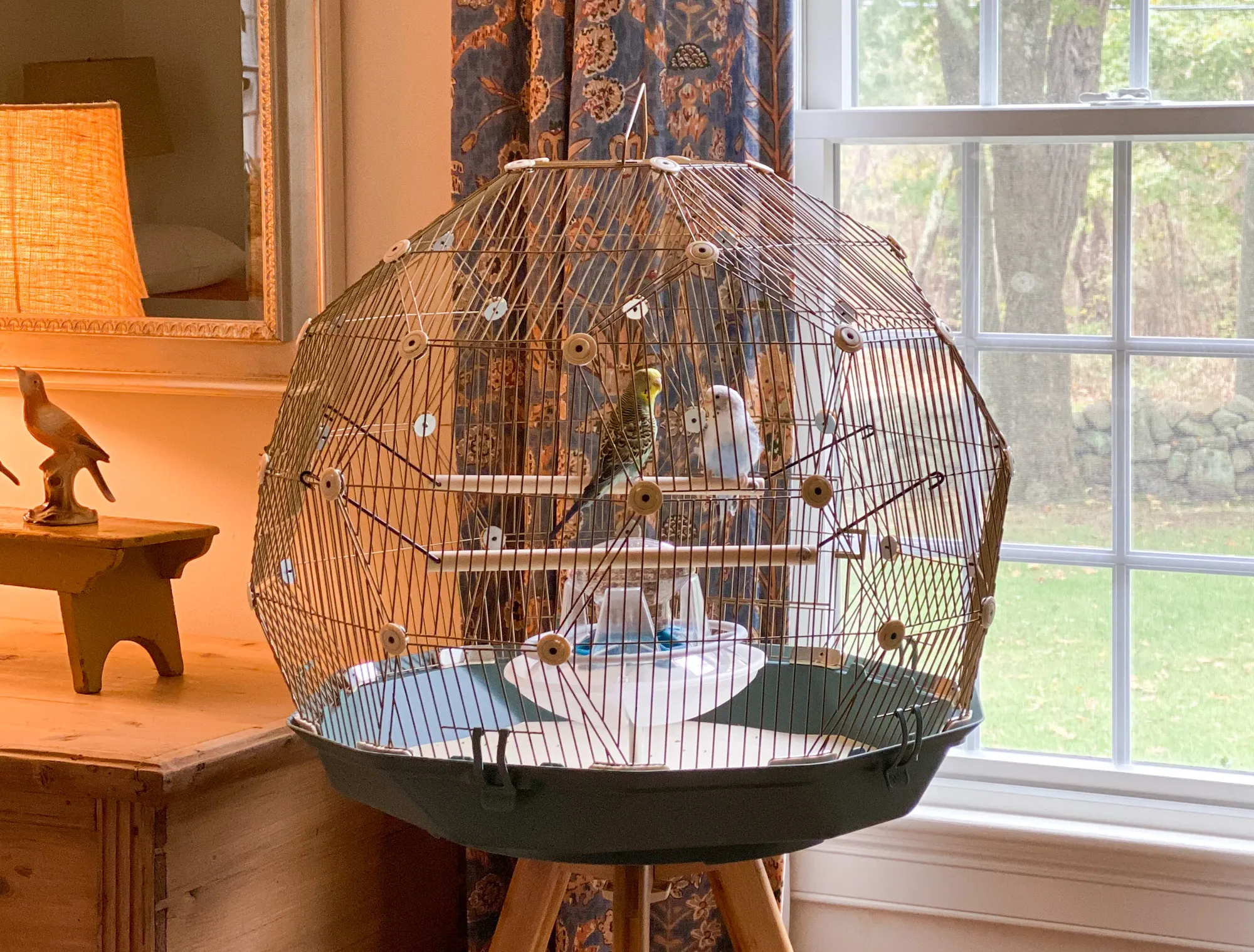 Close up Omlet Geo Bird Cage in use