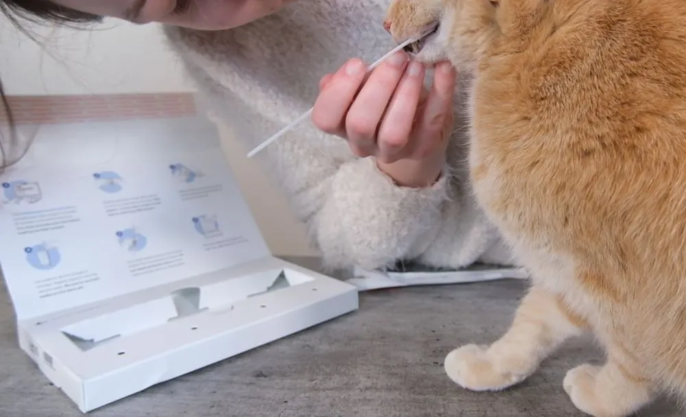 Collecting the Wisdom Panel sample