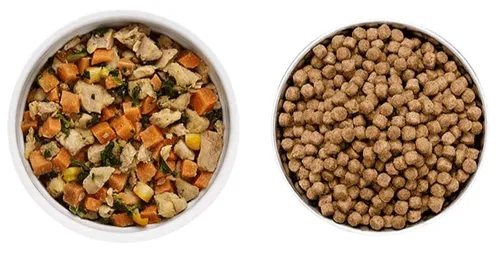 Comparison of fresh wet dog food versus dry kibble for a clearer natural appearance