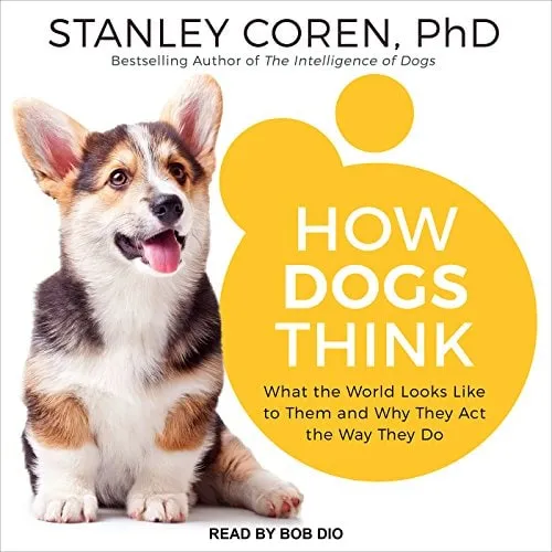 Cover of How Dogs Think book, exploring canine cognition and behavior from their perspective.