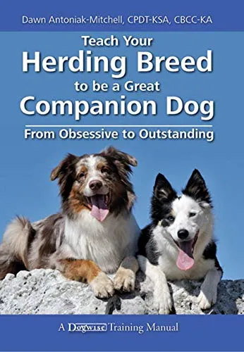Cover of Teach Your Herding Breed To Be A Great Companion Dog - From Obsessive To Outstanding book