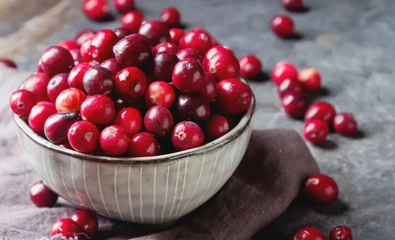 Cranberries benefiting dog bladder and dental health