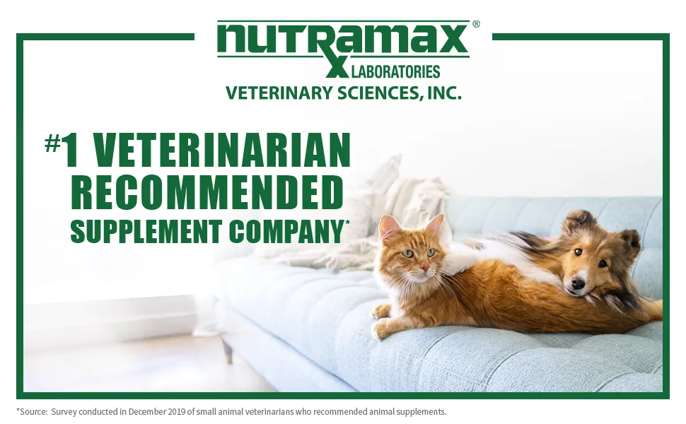 Dasuquin logo from Nutramax Laboratories Vet Sciences, highlighted as the #1 veterinarian-recommended company