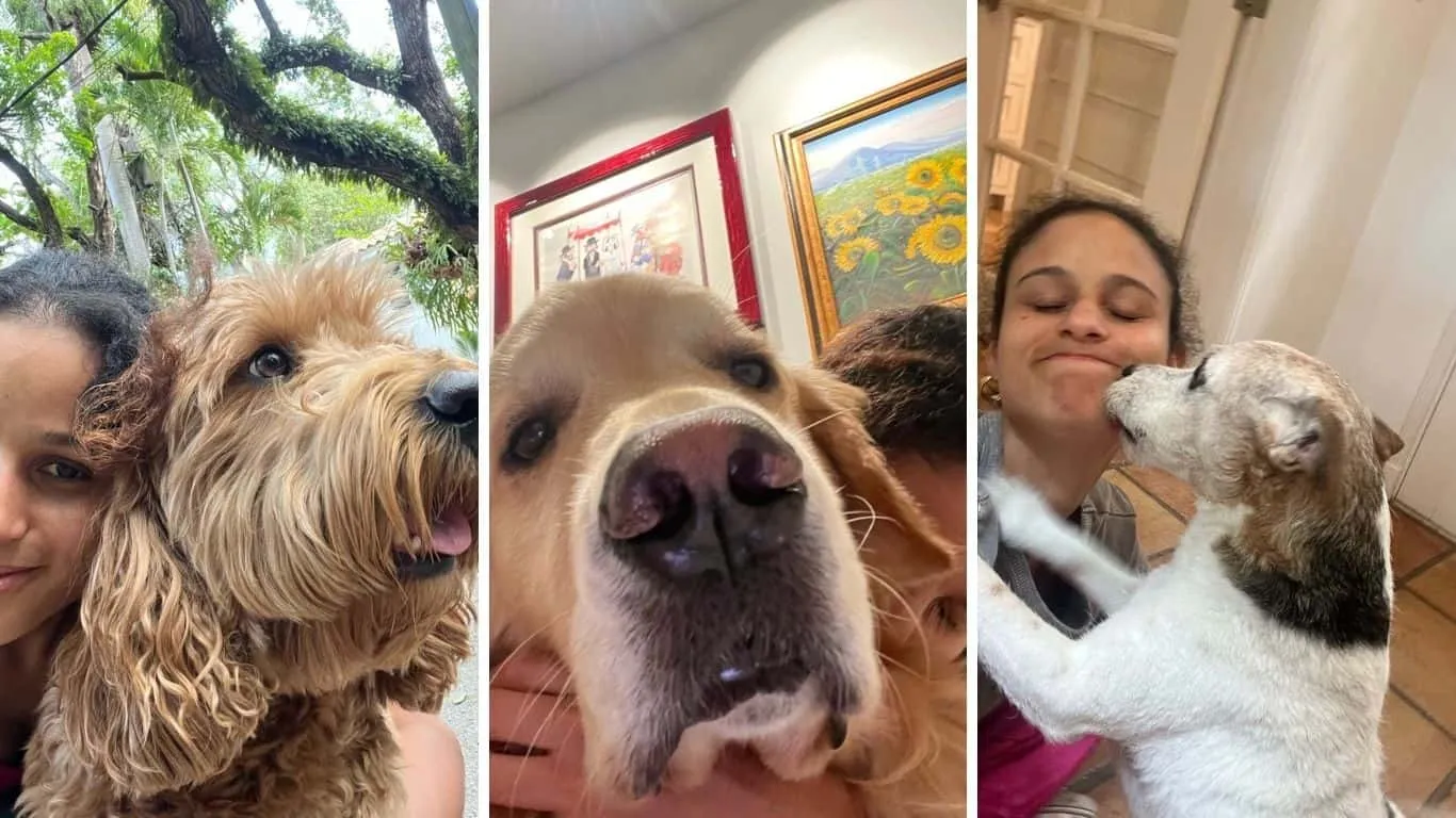 Dedicated dog walker providing care to a happy dog in Miami