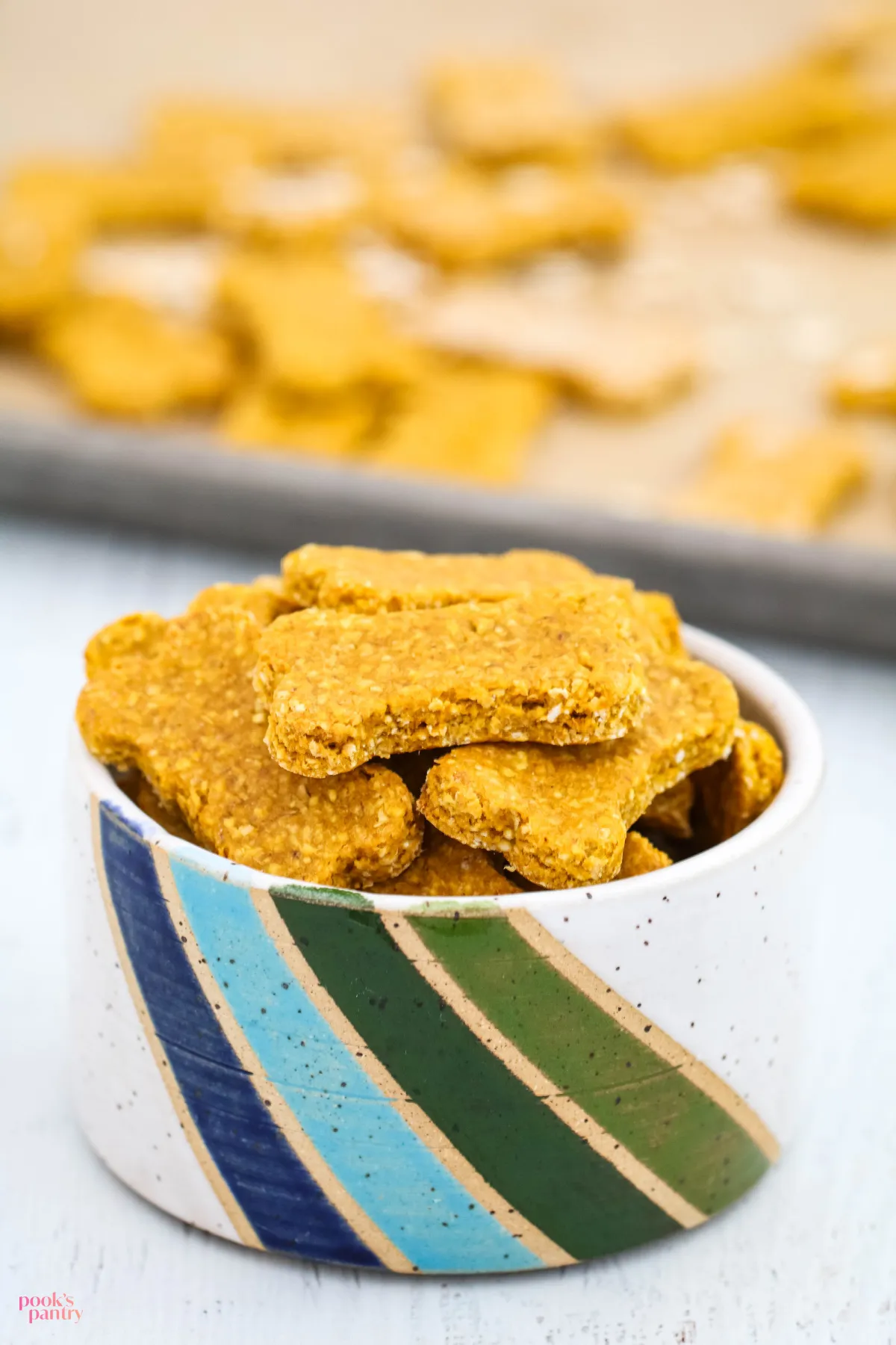 Delicious oatmeal pumpkin dog treats in a decorative pottery bowl