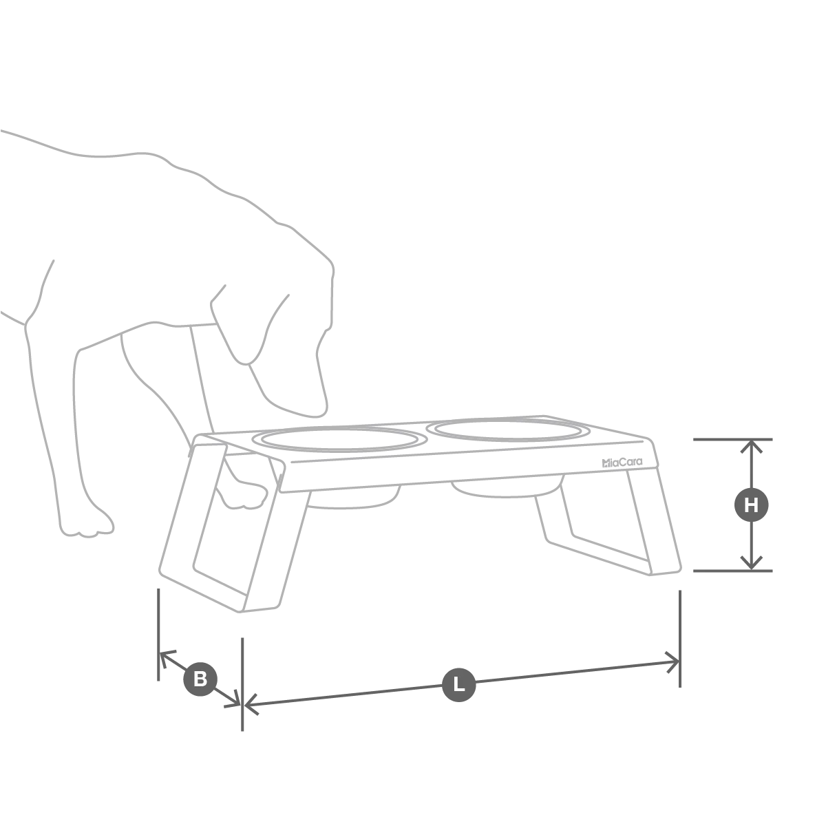 Desco dog feeder sizes for various breeds, including small, medium, and large dogs