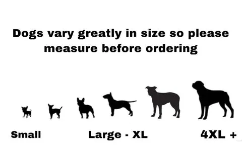 Detailed diagram illustrating how to measure a dog's chest, back, and neck for clothing