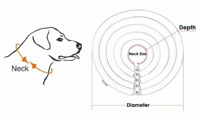 Diagram illustrating how to measure a dog's neck and depth for a cone collar to ensure the right fit.