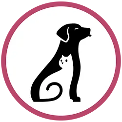 Diagram illustrating standard insurance coverages for pet businesses