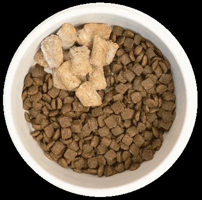 Diagram illustrating the gradual transition of a puppy to raw food over a 12-day period.