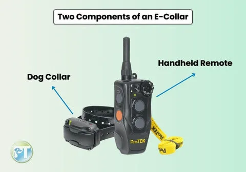 Diagram showing the main components of an e-collar, including the transmitter and receiver collar