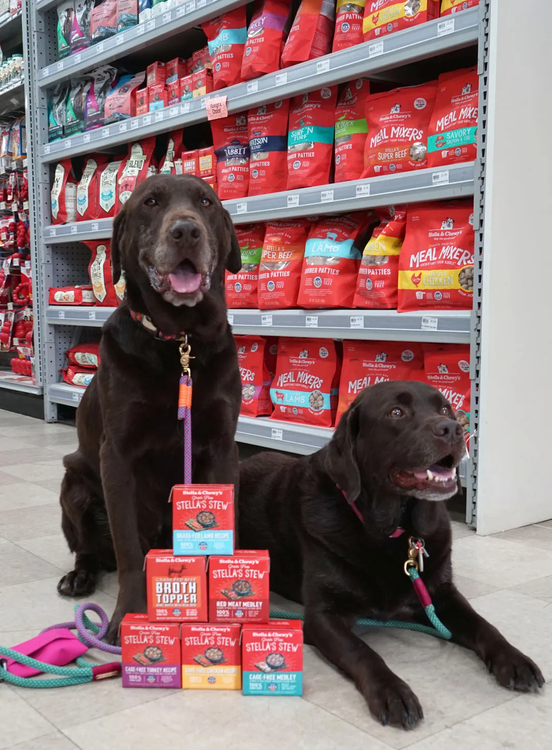 Display of Stella & Chewy's wet food and kibble products in a pet store