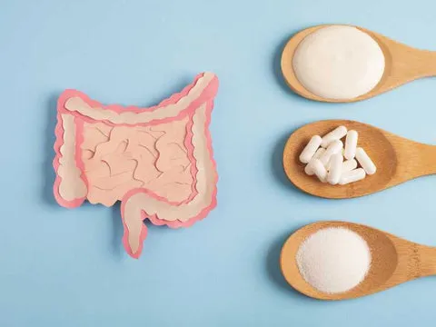 Dog eating a fiber-rich meal