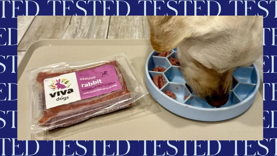 Dog eating raw food from a slow-feeder bowl with Viva Raw packaging nearby.