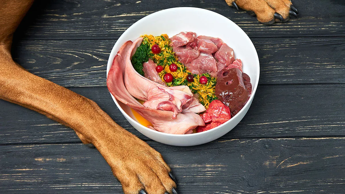 Dog Food for Liver Disease