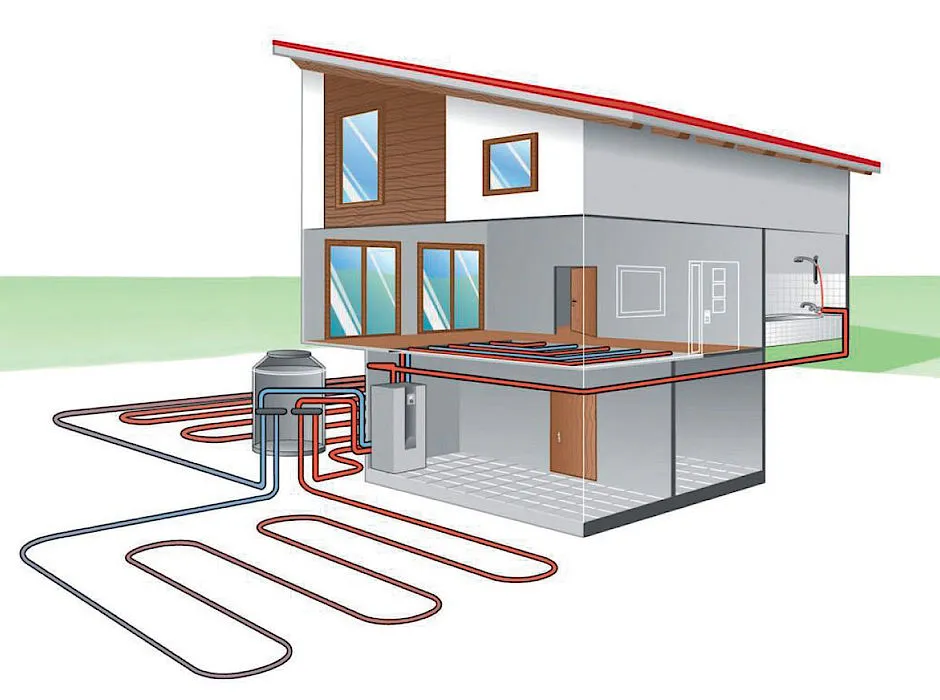 Dog in a field wearing a robust Mantrailing Dog Harness for tracking activities