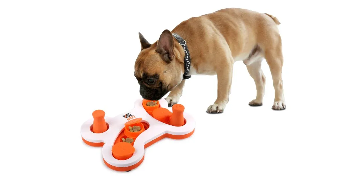 Dog pawing at All For Paws Bone Appetit Flip N Slide puzzle toy