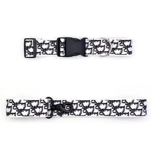 Dog showcasing luxury Dior-inspired collar in community photo