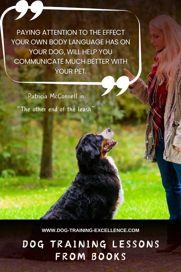 Dog training tips and a pensive dog