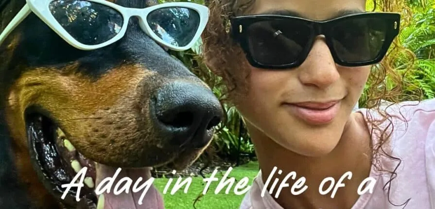 Dog walker preparing for morning visits in Miami