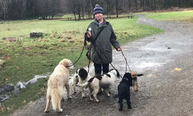 Dog walker with dogs