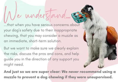 Dog wearing a basket muzzle while looking at a chew toy, illustrating responsible muzzle use in conjunction with appropriate chew outlets.