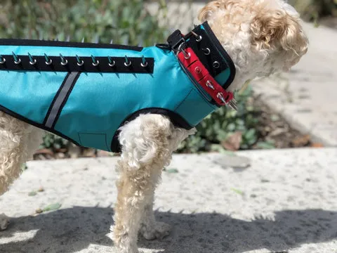 Dog wearing a SpikeVest featuring prominent spikes for defense against bites
