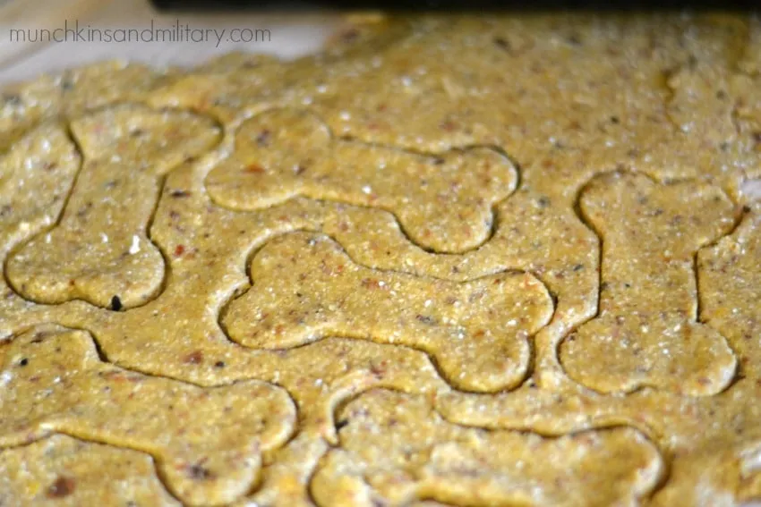 Dough for bacon and cheddar dog treats being rolled out and cut into shapes