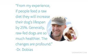 Dr. Peter Dobias has been a long-time advocate for raw and natural diets for dogs, emphasizing their health benefits.