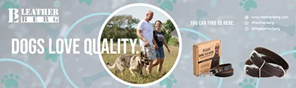 Durable leather dog leash held by a person on a walk