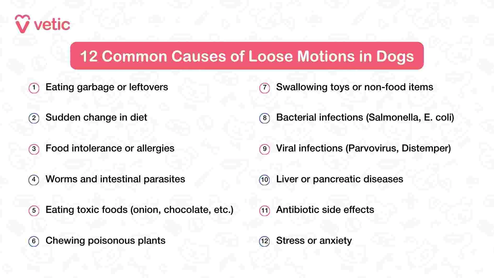 Educational graphic listing twelve common causes of diarrhea in dogs, including dietary changes, parasites, infections, and stress.